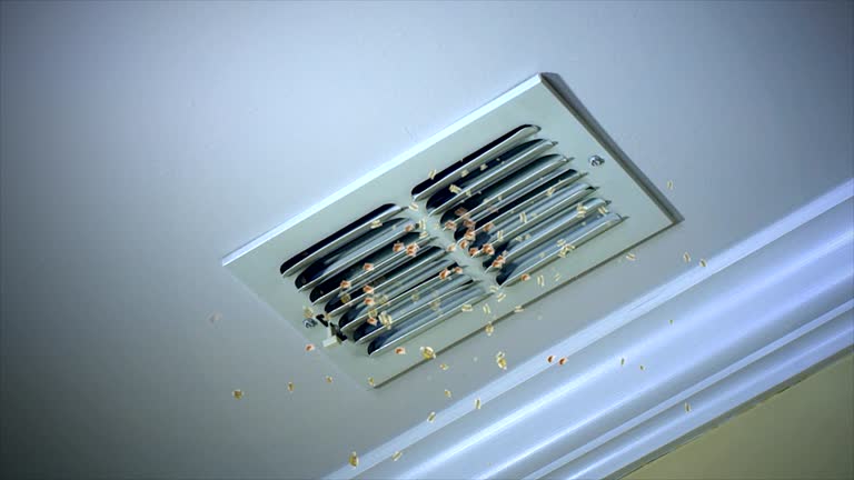Best Home Air Vent Cleaning  in Whitaker, PA