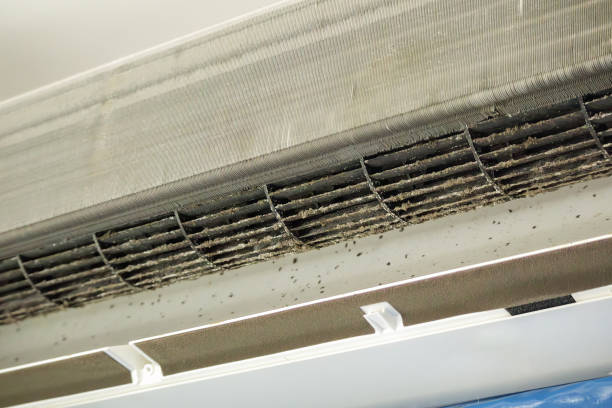 Best Ductwork Cleaning Services  in Whitaker, PA